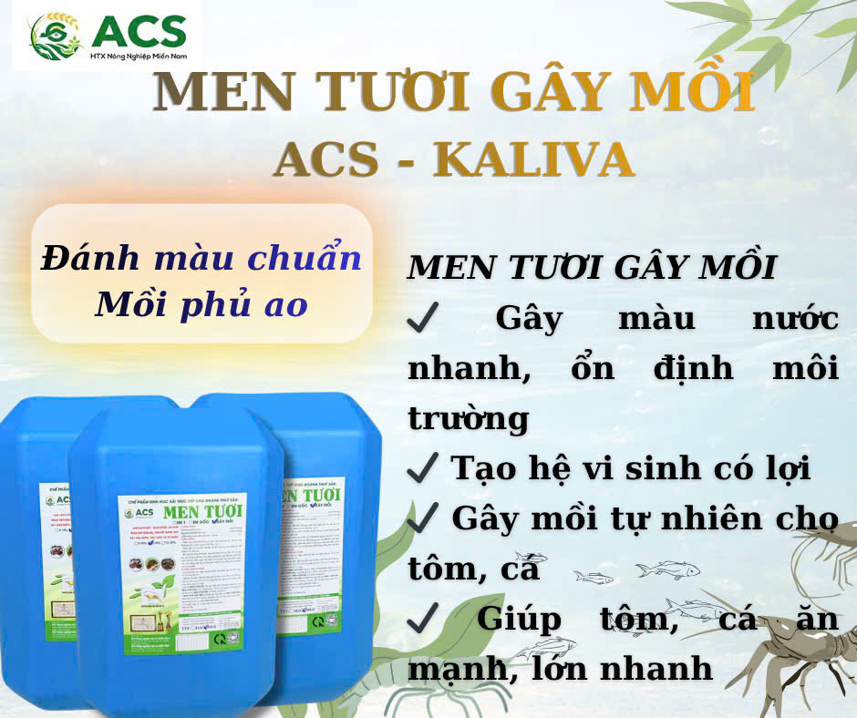 Men Tươi Gây Mồi ACS Kaliva