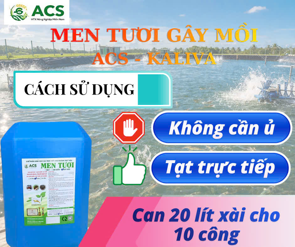 Men Tươi Gây Mồi — Cách sử dụng